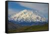 Denali-Steven Schremp-Framed Stretched Canvas