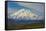 Denali-Steven Schremp-Framed Stretched Canvas