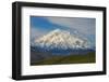 Denali-Steven Schremp-Framed Premium Photographic Print