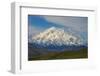 Denali-Steven Schremp-Framed Premium Photographic Print