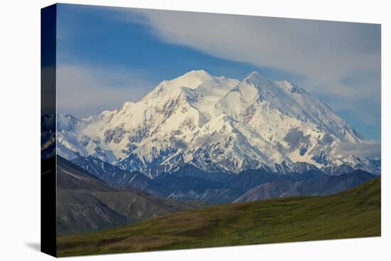 Denali-Steven Schremp-Stretched Canvas