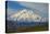 Denali-Steven Schremp-Stretched Canvas