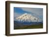 Denali-Steven Schremp-Framed Photographic Print