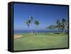 Denarau Golf Course, Danarau, Viti Levu, Fiji-Neil Farrin-Framed Stretched Canvas