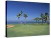 Denarau Golf Course, Danarau, Viti Levu, Fiji-Neil Farrin-Stretched Canvas