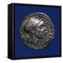 Denarius Bearing Image of Scipio Africanus, Roman Coins BC-null-Framed Stretched Canvas