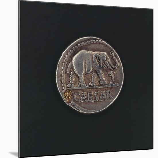 Denarius Issued by Caesar before Crossing Rubicon, Depicting Elephant, Symbol of Leader-null-Mounted Giclee Print