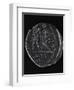 Denarius Minted to Mark Peace Between Spain and Pompey, Roman Coins BC-null-Framed Premium Giclee Print