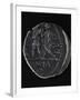 Denarius Minted to Mark Peace Between Spain and Pompey, Roman Coins BC-null-Framed Giclee Print