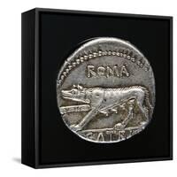 Denarius with Capitoline Wolf, Roman Coins-null-Framed Stretched Canvas