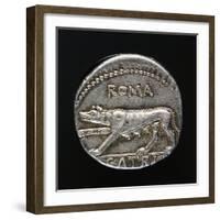 Denarius with Capitoline Wolf, Roman Coins-null-Framed Giclee Print