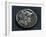 Denarius with Head of Mars, Roman Coins-null-Framed Giclee Print