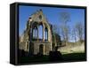 Denbighshire, Llangollen, the Striking Remains of Valle Crucis Abbey, Wales-John Warburton-lee-Framed Stretched Canvas