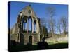 Denbighshire, Llangollen, the Striking Remains of Valle Crucis Abbey, Wales-John Warburton-lee-Stretched Canvas