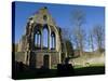 Denbighshire, Llangollen, the Striking Remains of Valle Crucis Abbey, Wales-John Warburton-lee-Stretched Canvas