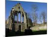 Denbighshire, Llangollen, the Striking Remains of Valle Crucis Abbey, Wales-John Warburton-lee-Mounted Photographic Print