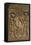 Dendera Necropolis, Qena, Nile Valley, Egypt; Carvings on the Outside Wall of the Temple of Hathor-Tony Waltham-Framed Stretched Canvas