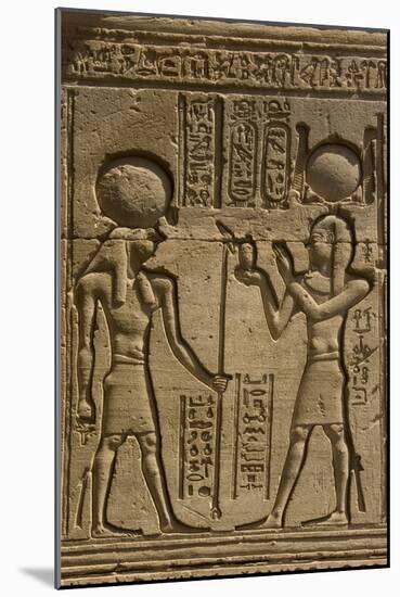 Dendera Necropolis, Qena, Nile Valley, Egypt; Carvings on the Outside Wall of the Temple of Hathor-Tony Waltham-Mounted Photographic Print