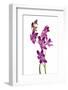 Dendrobium Berry Oda1-Fabio Petroni-Framed Photographic Print