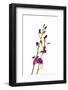 Dendrobium Berry Oda2-Fabio Petroni-Framed Photographic Print