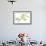 Dendrobium Emma White-Fabio Petroni-Framed Premium Photographic Print displayed on a wall