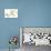 Dendrobium Emma White-Fabio Petroni-Photographic Print displayed on a wall