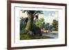 Dendrolagus and Hypsiprymnus, 1860-null-Framed Giclee Print