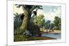 Dendrolagus and Hypsiprymnus, 1860-null-Mounted Giclee Print