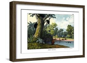 Dendrolagus and Hypsiprymnus, 1860-null-Framed Giclee Print