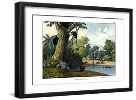 Dendrolagus and Hypsiprymnus, 1860-null-Framed Giclee Print