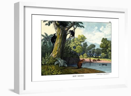 Dendrolagus and Hypsiprymnus, 1860-null-Framed Giclee Print