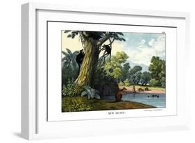 Dendrolagus and Hypsiprymnus, 1860-null-Framed Giclee Print