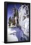 Essential Black