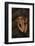 Dendropsophus Ebraccatus (Hourglass Treefrog)-Paul Starosta-Framed Photographic Print