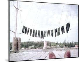 Denim Blue Jeans Hanging on Laudry Line to Dry, Seattle, Washington, 1950-Loomis Dean-Mounted Photographic Print