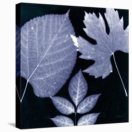 Denim Sunprint Leaves-Dan Zamudio-Stretched Canvas