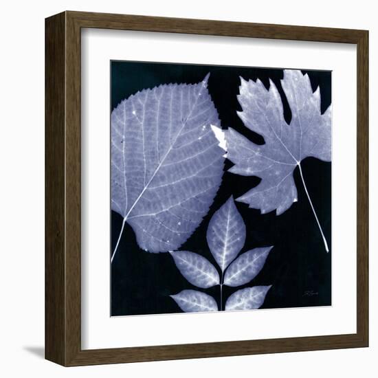 Denim Sunprint Leaves-Dan Zamudio-Framed Art Print