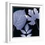 Denim Sunprint Leaves-Dan Zamudio-Framed Art Print