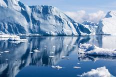 Greenland. the Biggest Glacier on a Planet Jakobshavn. Huge Icebergs of Different Forms in the Gulf-Denis Burdin-Photographic Print