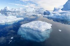 Greenland. the Biggest Glacier on a Planet Jakobshavn. Huge Icebergs of Different Forms in the Gulf-Denis Burdin-Photographic Print