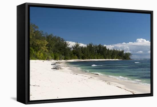 Denis Island, Seychelles, Indian Ocean, Africa-Sergio Pitamitz-Framed Stretched Canvas