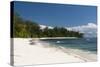 Denis Island, Seychelles, Indian Ocean, Africa-Sergio Pitamitz-Stretched Canvas