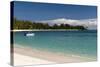 Denis Island, Seychelles, Indian Ocean, Africa-Sergio Pitamitz-Stretched Canvas