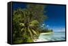 Denis Island, Seychelles, Indian Ocean, Africa-Sergio-Framed Stretched Canvas