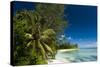 Denis Island, Seychelles, Indian Ocean, Africa-Sergio-Stretched Canvas