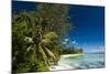 Denis Island, Seychelles, Indian Ocean, Africa-Sergio-Mounted Photographic Print