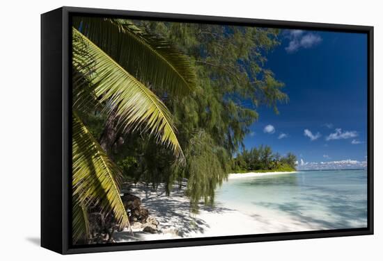 Denis Island, Seychelles, Indian Ocean, Africa-Sergio-Framed Stretched Canvas