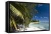 Denis Island, Seychelles, Indian Ocean, Africa-Sergio-Framed Stretched Canvas