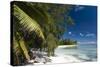 Denis Island, Seychelles, Indian Ocean, Africa-Sergio-Stretched Canvas