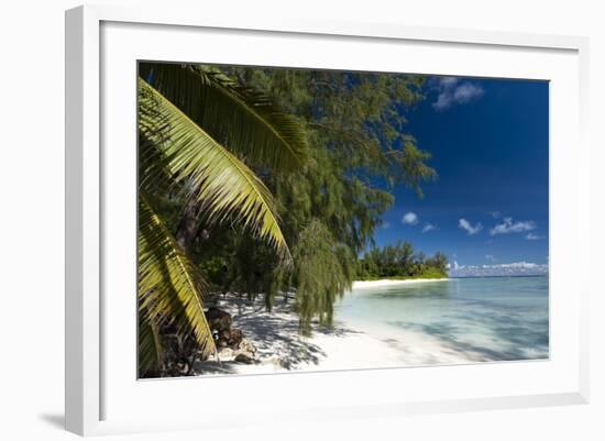 Denis Island, Seychelles, Indian Ocean, Africa-Sergio-Framed Photographic Print